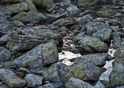 casaneve-bad-gastein-0027